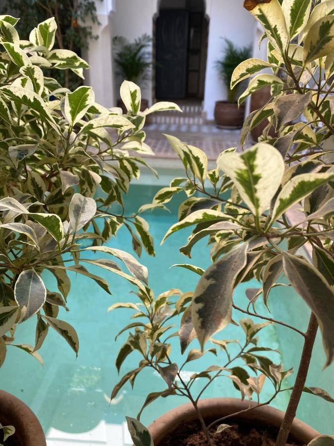 Riad Magellan Yoga And Spa Marrakesh Luaran gambar